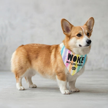 Pembroke Welsh Corgi wearing a &amp;quot;Woke but like naps&amp;quot; bandana.