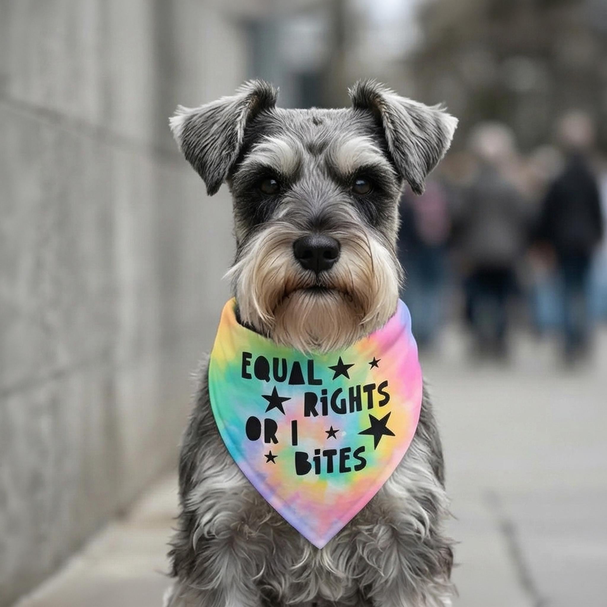 Miniature Schnauzer wearing a tie-dye bandana that says &amp;quot;Equal Rights or I Bites&amp;quot;.