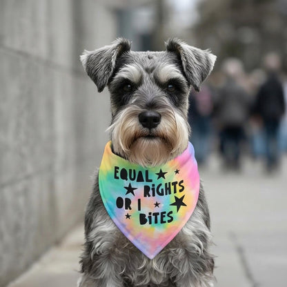 Miniature Schnauzer wearing a tie-dye bandana that says &amp;quot;Equal Rights or I Bites&amp;quot;.