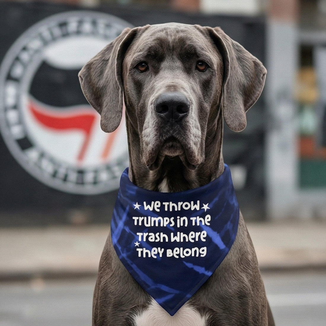 Great Dane wearing a bandana that says &amp;quot;We throw Trumps where they belong.&amp;quot;