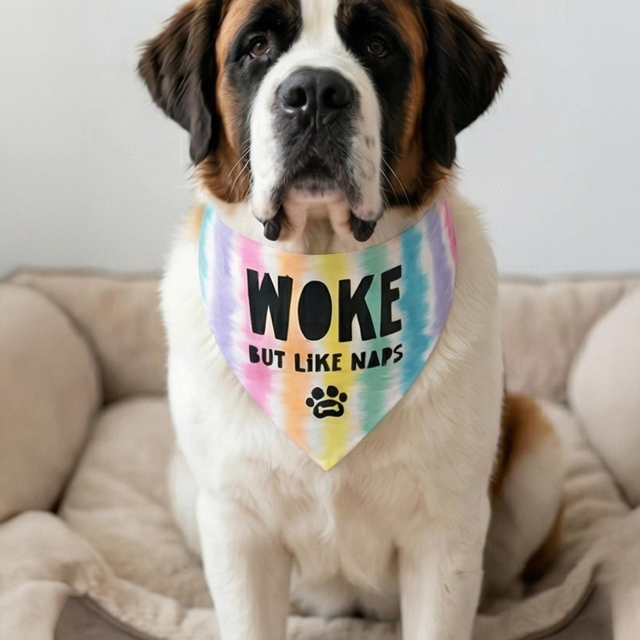 St. Bernard dog wearing a tie-dye bandana that says &amp;quot;Woke but like naps.&amp;quot;