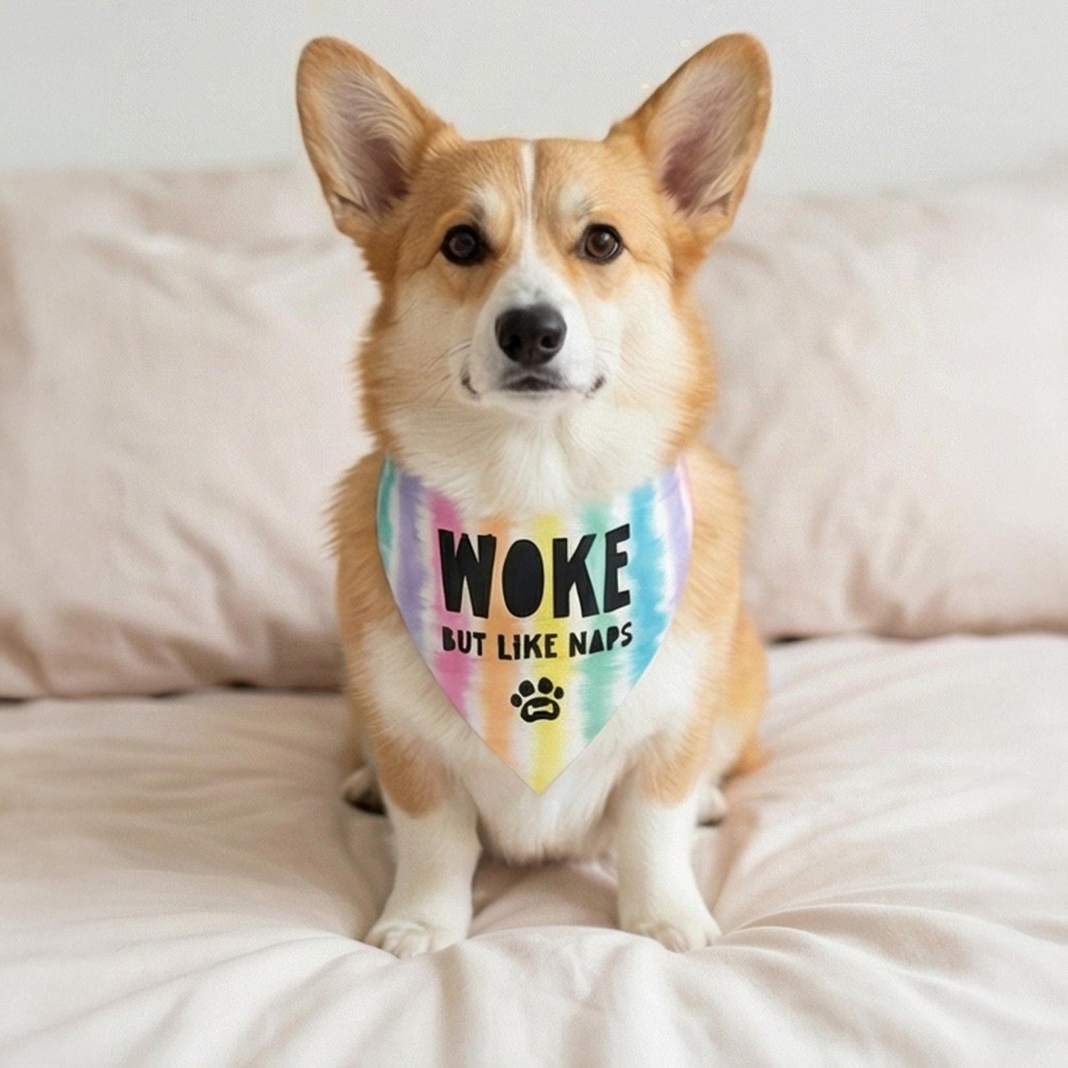 Corgi wearing a bandana that says &amp;quot;Woke but like naps.&amp;quot;