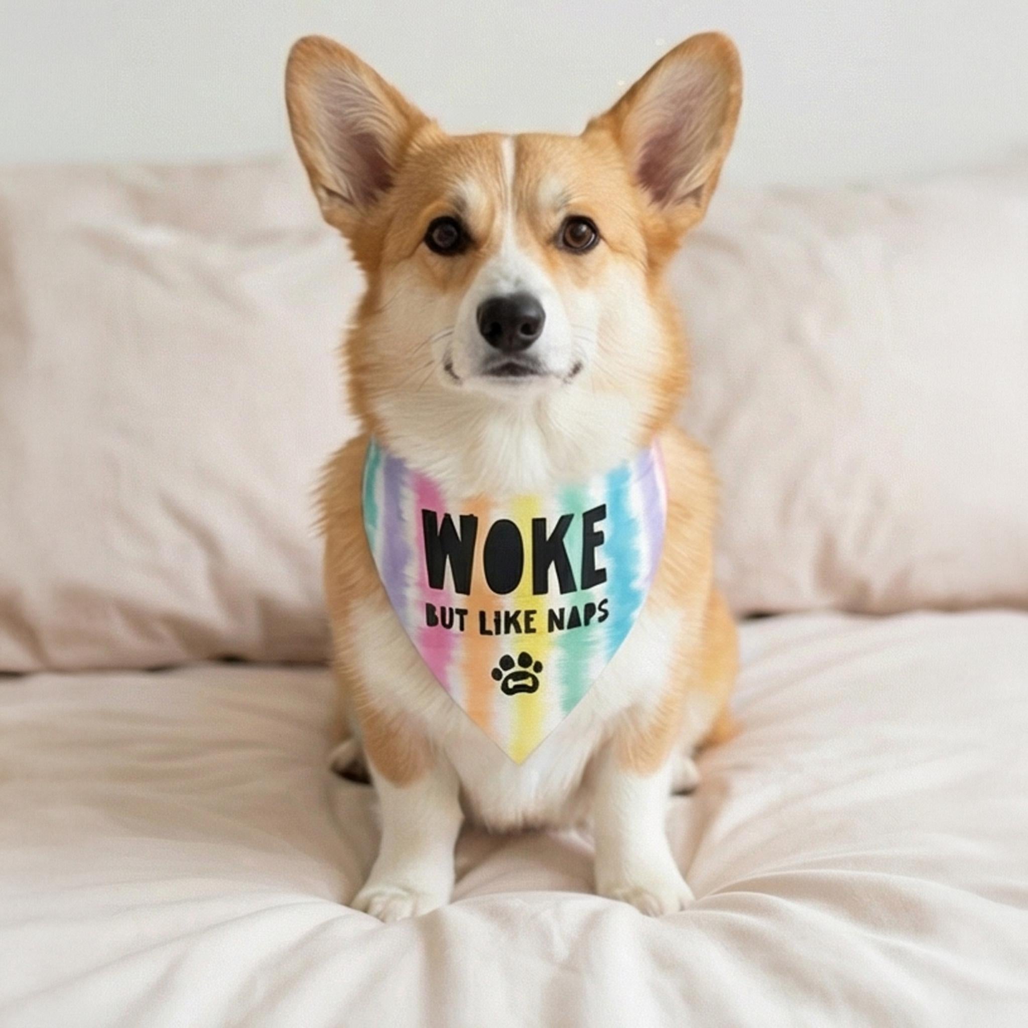 Corgi wearing a bandana that says &amp;quot;Woke but like naps.&amp;quot;