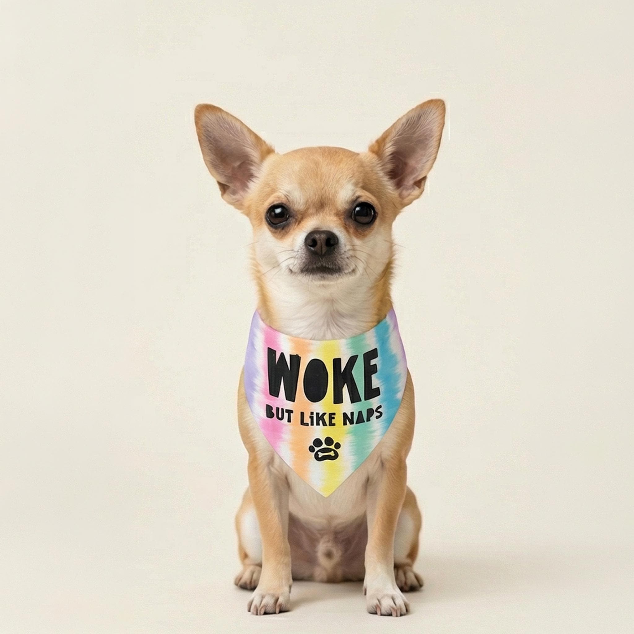 Chihuahua wearing a tie-dye bandana that says &amp;quot;Woke But Like Naps&amp;quot;.