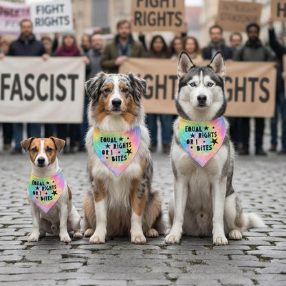 Three dogs wearing bandanas promoting equal rights and love.