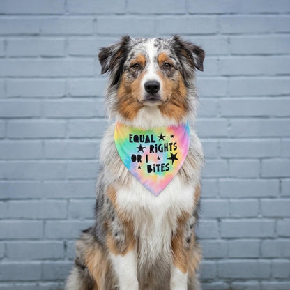 Merle Australian Shepherd wearing a tie-dye bandana that says &amp;quot;Equal Rights or Bites&amp;quot;.