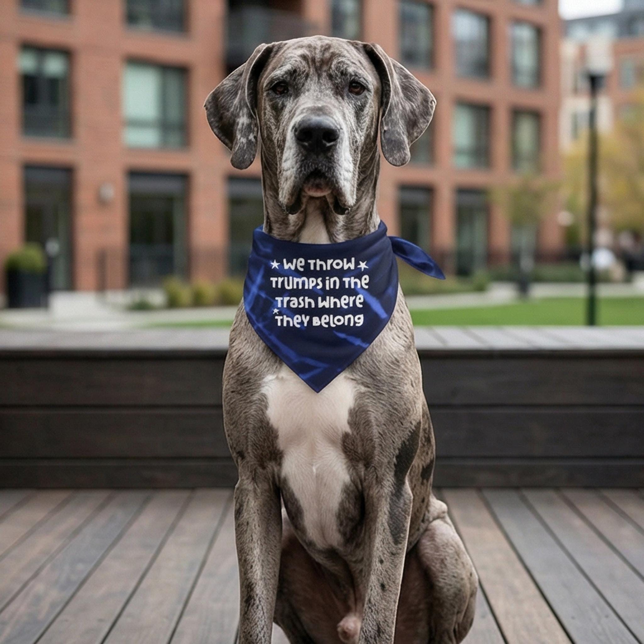 Great Dane wearing a blue bandana with white text: &amp;quot;WE THROW TRUMP IN THE TRASH WHERE THEY BELONG&amp;quot;.