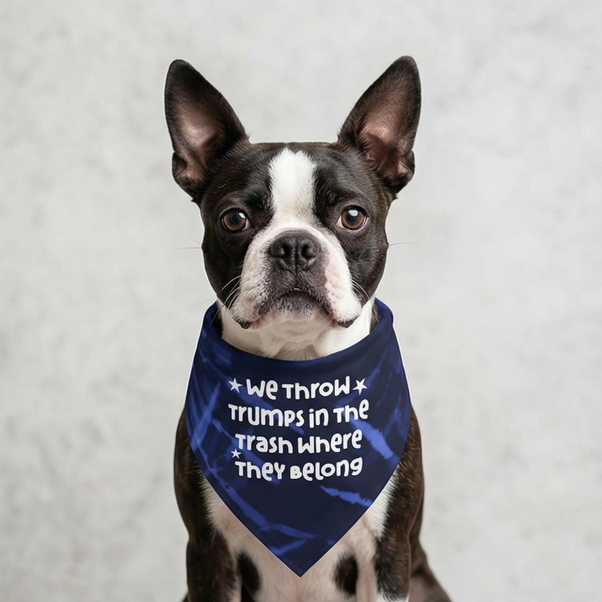 Boston Terrier wearing a bandana with text &amp;quot;WE THROW TRUMPS IN THE TRASH WHERE THEY BELONG&amp;quot;.