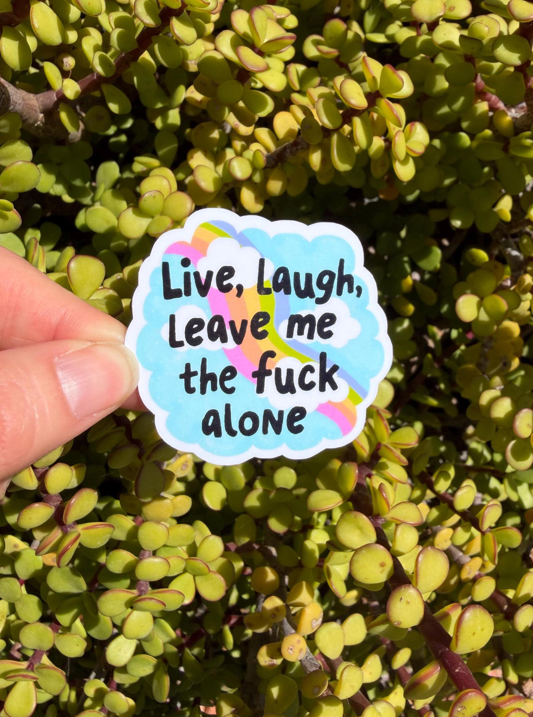 Funny Leave Me Alone Sticker, Sarcastic Mental Health Sticker, Introvert Humor Decal, Cute Snarky Sticker, Laptop Water Bottle