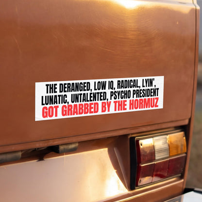 Sticker on car: &amp;quot;THE DERANGED, LOW IQ, RADICAL, LYIN&amp;