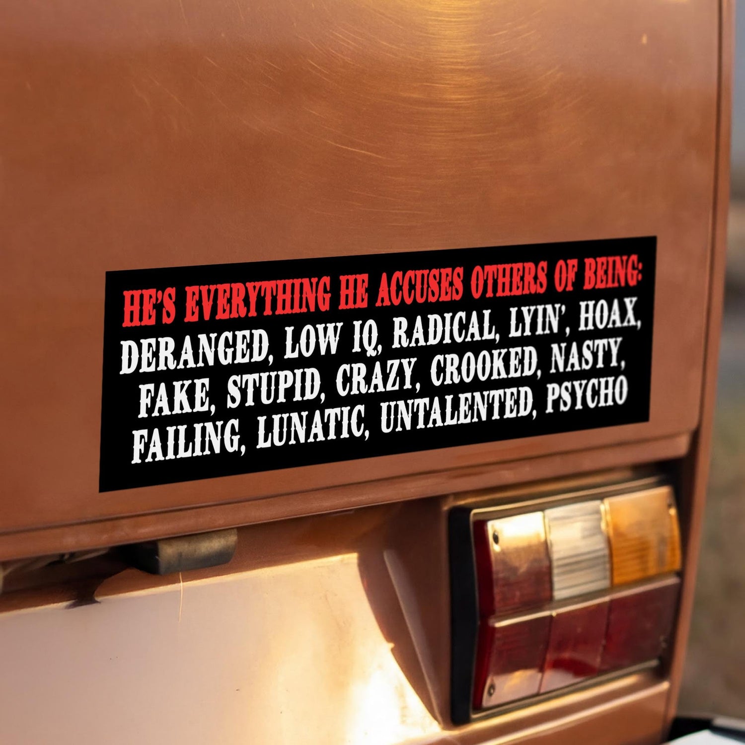 Bumper sticker listing accusations: deranged, low IQ, radical, lying, hoax, fake, stupid, crazy, crooked, nasty, failing, lunatic, untalented, psycho.