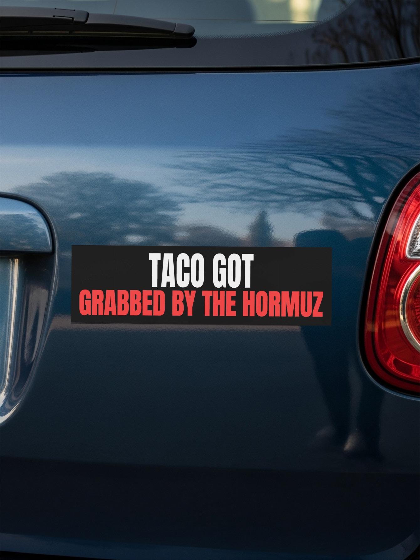 TACO GOT GRABBED BY THE HORMOZ bumper sticker on a dark blue car.