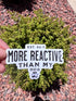 May include: A white sticker with black text that reads "EST. 24/7 MORE REACTIVE THAN MY DOG" with a paw print graphic. The sticker is held in front of a green bush and a background of small red and brown rocks.
