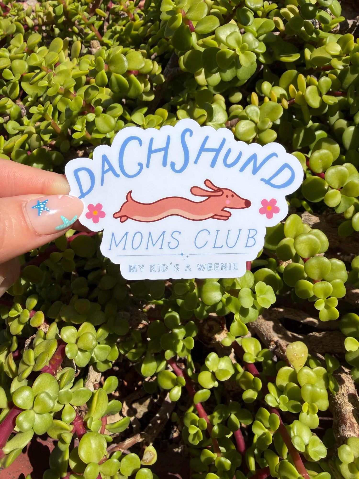 Dachshund Moms Club Sticker, My Kid&