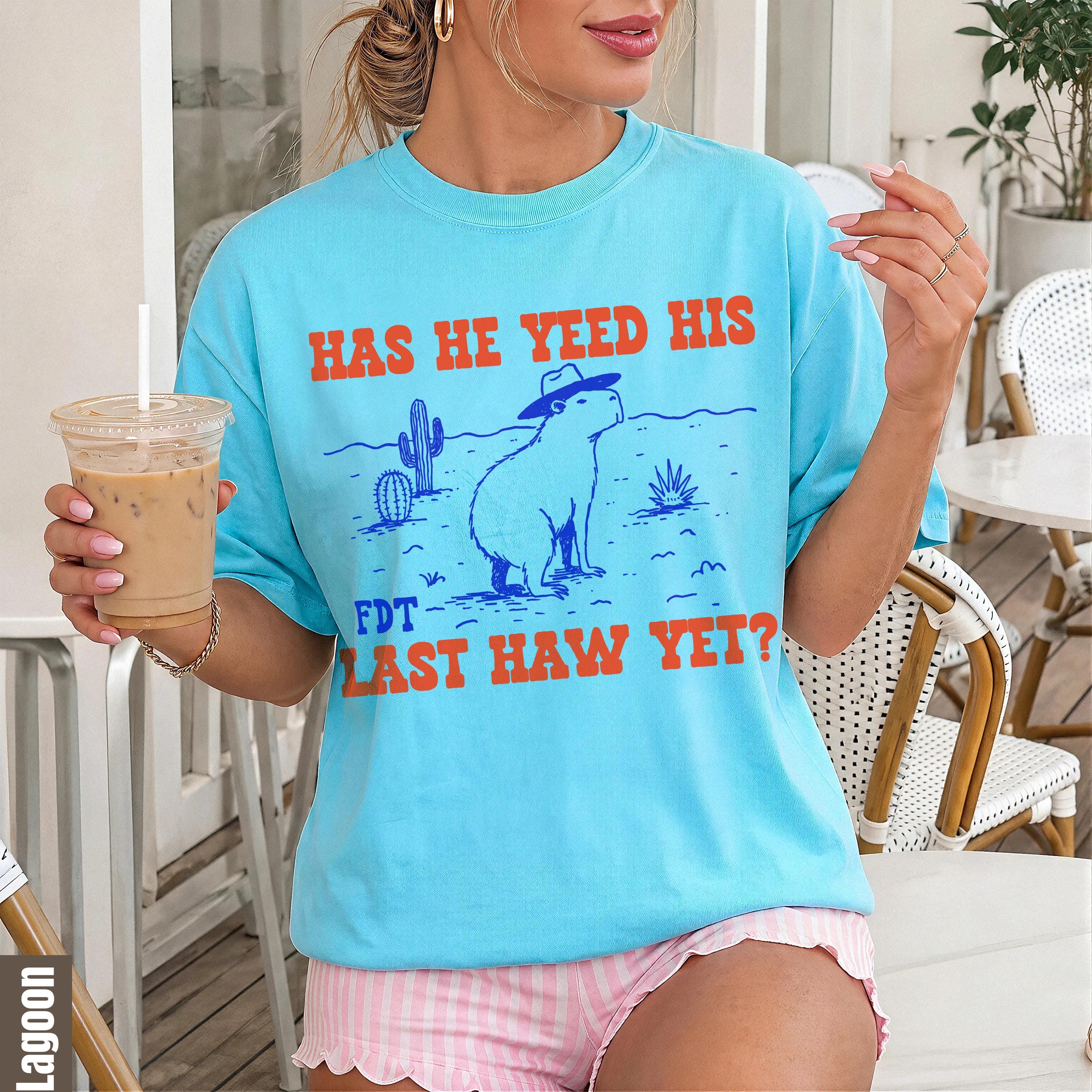 Light blue t-shirt with desert graphic and text &amp;quot;HAS HE YEED HIS FDT LAST HAW YET?&amp;quot;
