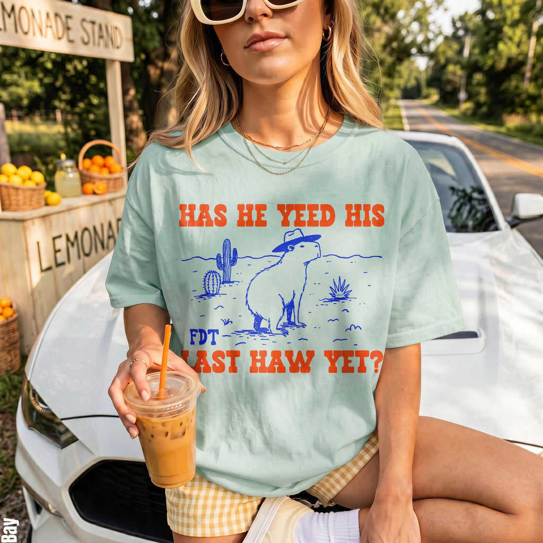 Light blue t-shirt with capybara graphic and text HAS HE YEED HIS LAST HAW YET?