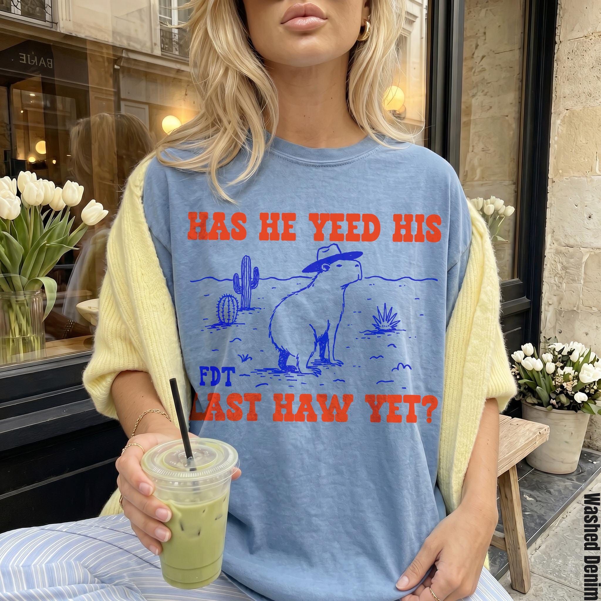 Blue t-shirt with orange text and a capybara illustration in a desert scene.