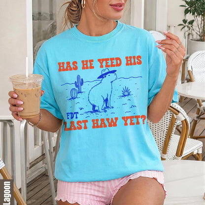 Light blue t-shirt with a capybara wearing a cowboy hat in a desert scene and text.