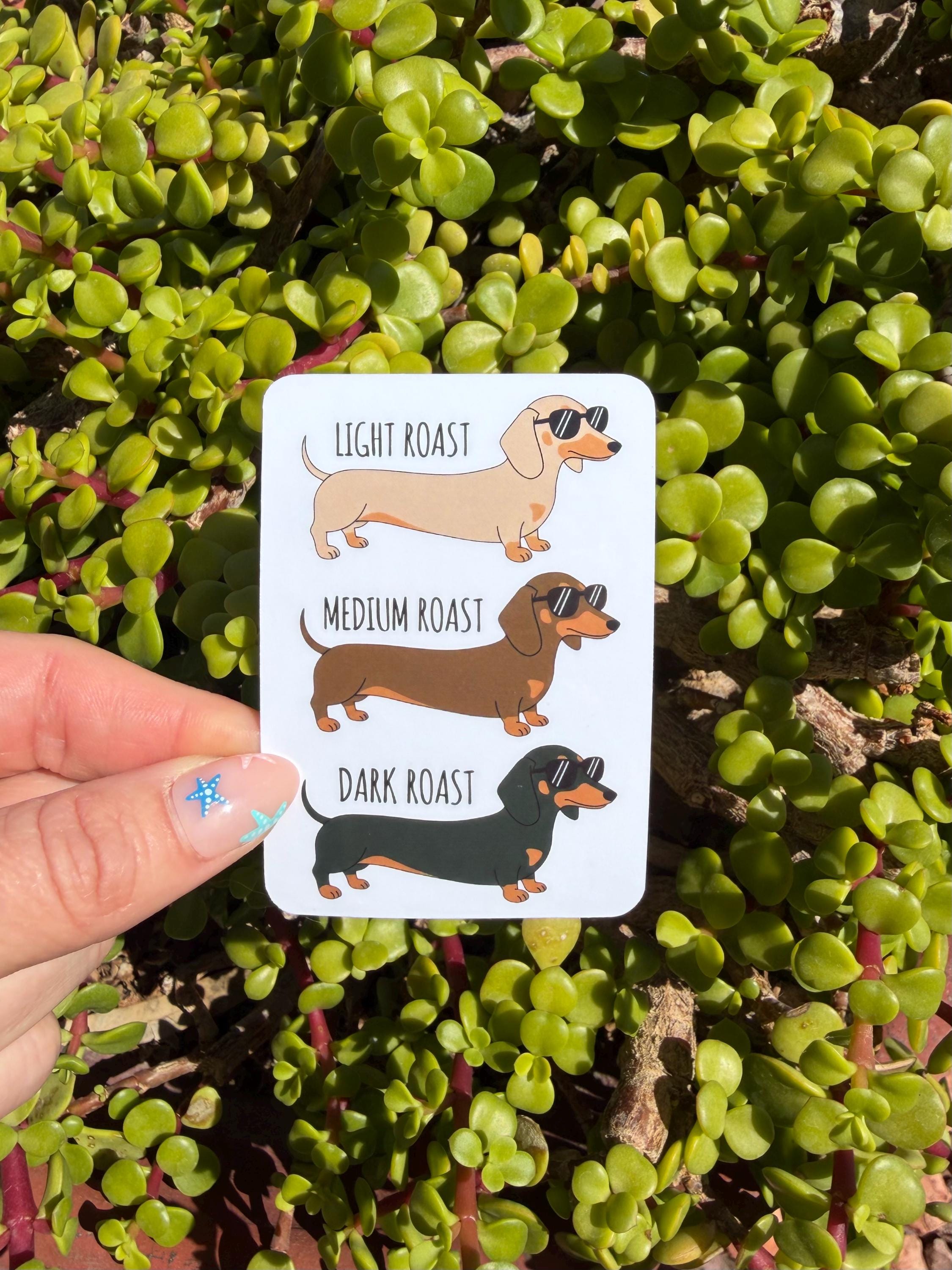 Funny Dachshund Coffee Roast Sticker, Wiener Dog Sticker, Doxie Mom Gift, Dog Lover Decal, Coffee Lover Laptop Water Bottle