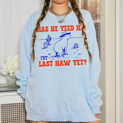 Light blue sweatshirt with a capybara wearing a cowboy hat and desert graphic.