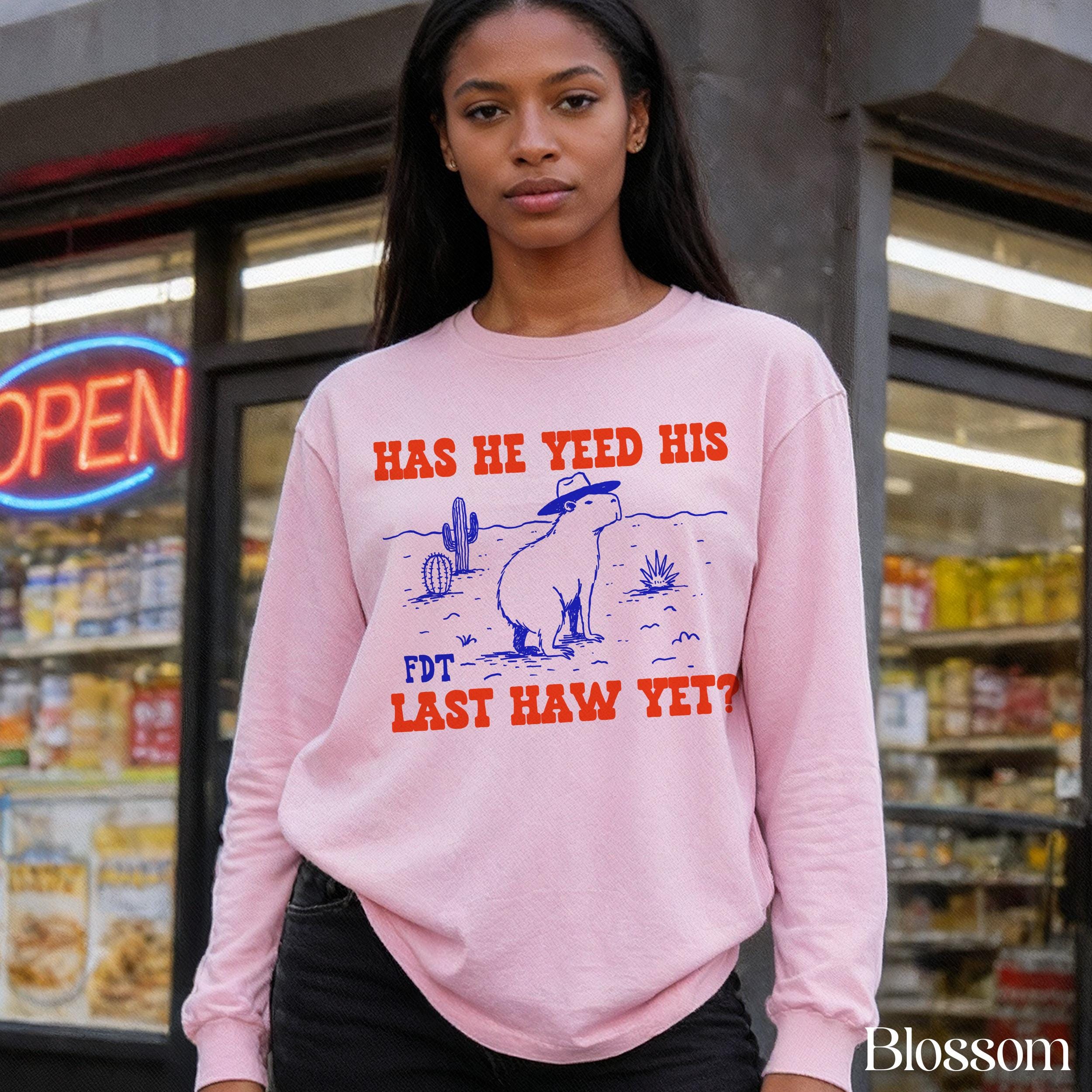 Pink sweatshirt with blue desert graphic and text &amp;quot;HAS HE YEED HIS FDT LAST HAW YET?&amp;quot;.