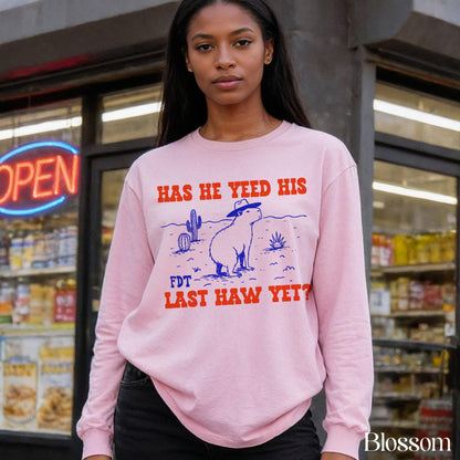 Pink sweatshirt with blue desert graphic and text &amp;quot;HAS HE YEED HIS FDT LAST HAW YET?&amp;quot;.
