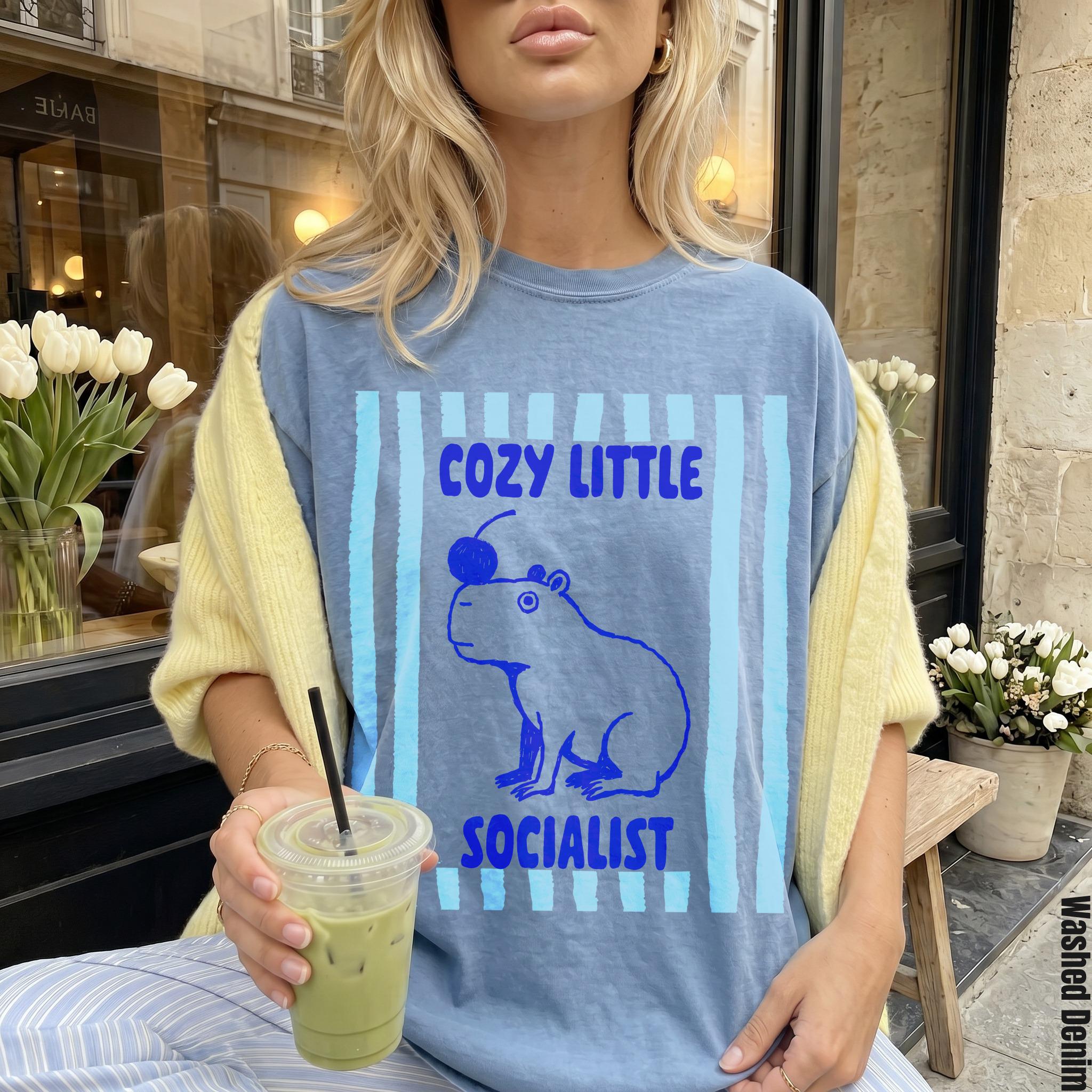 Blue t-shirt with blue capybara graphic and text &amp;quot;COZY LITTLE SOCIALIST&amp;quot;.