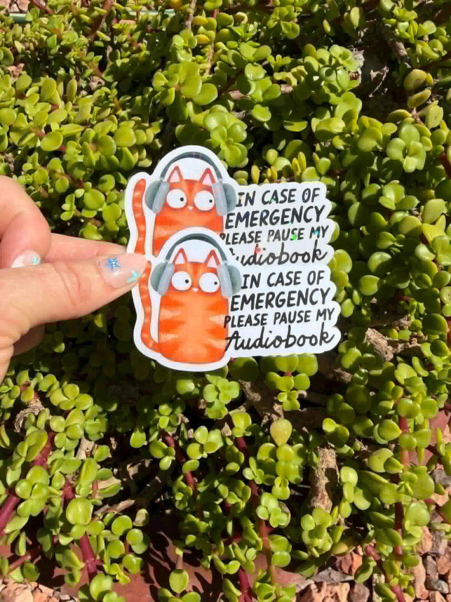 Funny Audiobook Sticker, In Case of Emergency Please Pause My Audiobook, Book Lover Sticker, Reading Sticker, Cat Laptop Decal