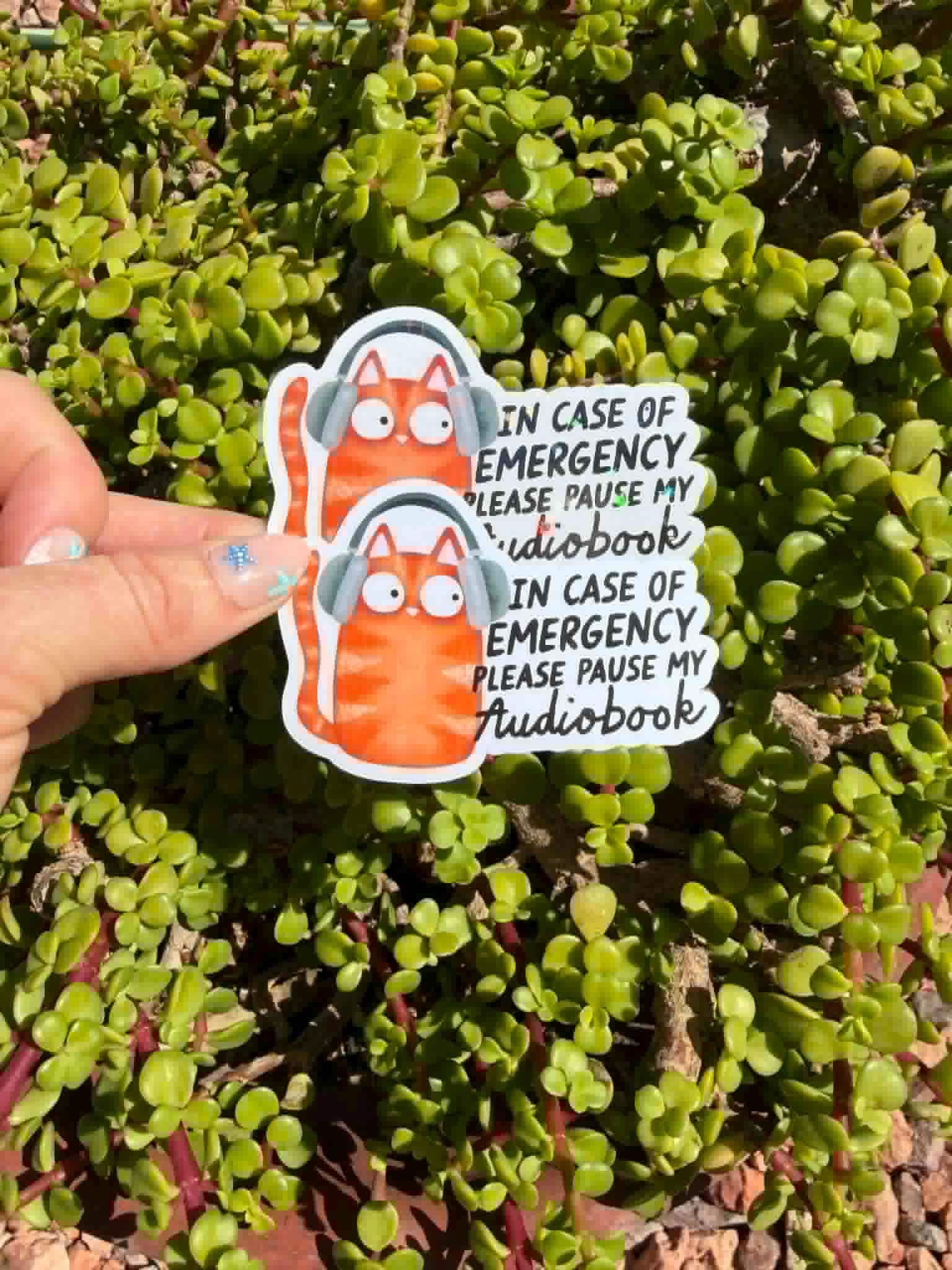 Funny Audiobook Sticker, In Case of Emergency Please Pause My Audiobook, Book Lover Sticker, Reading Sticker, Cat Laptop Decal
