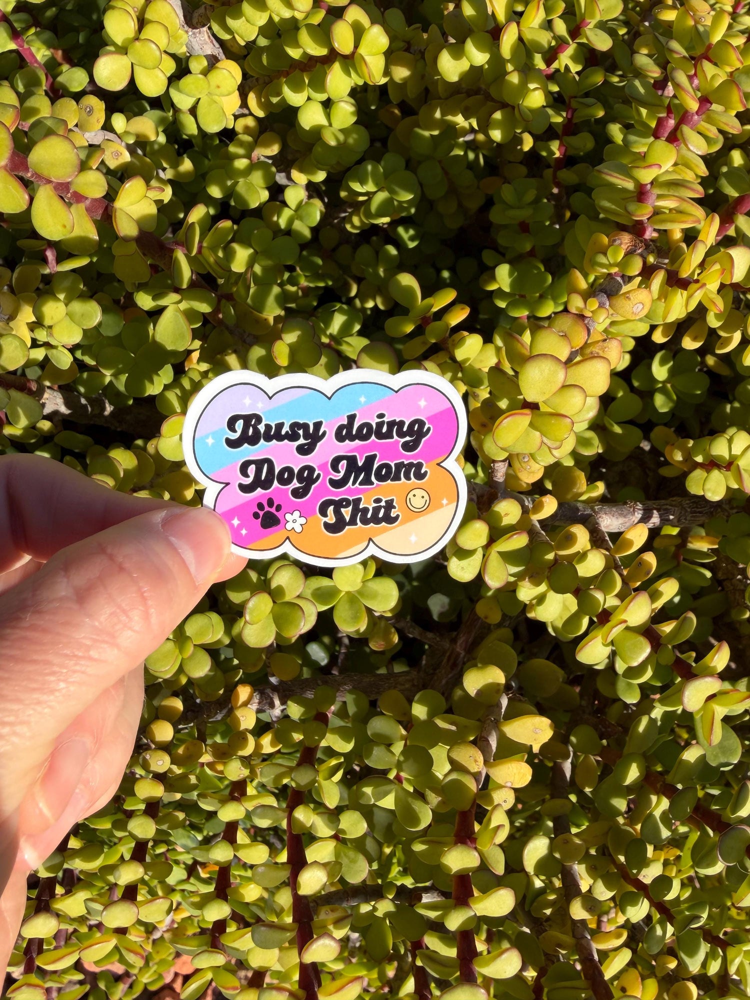 May include: A colorful sticker with the text &amp;quot;Busy doing Dog Mom Shit&amp;quot; in a playful font. The sticker features a paw print, a flower, and a smiling sun. The background is a vibrant green plant.