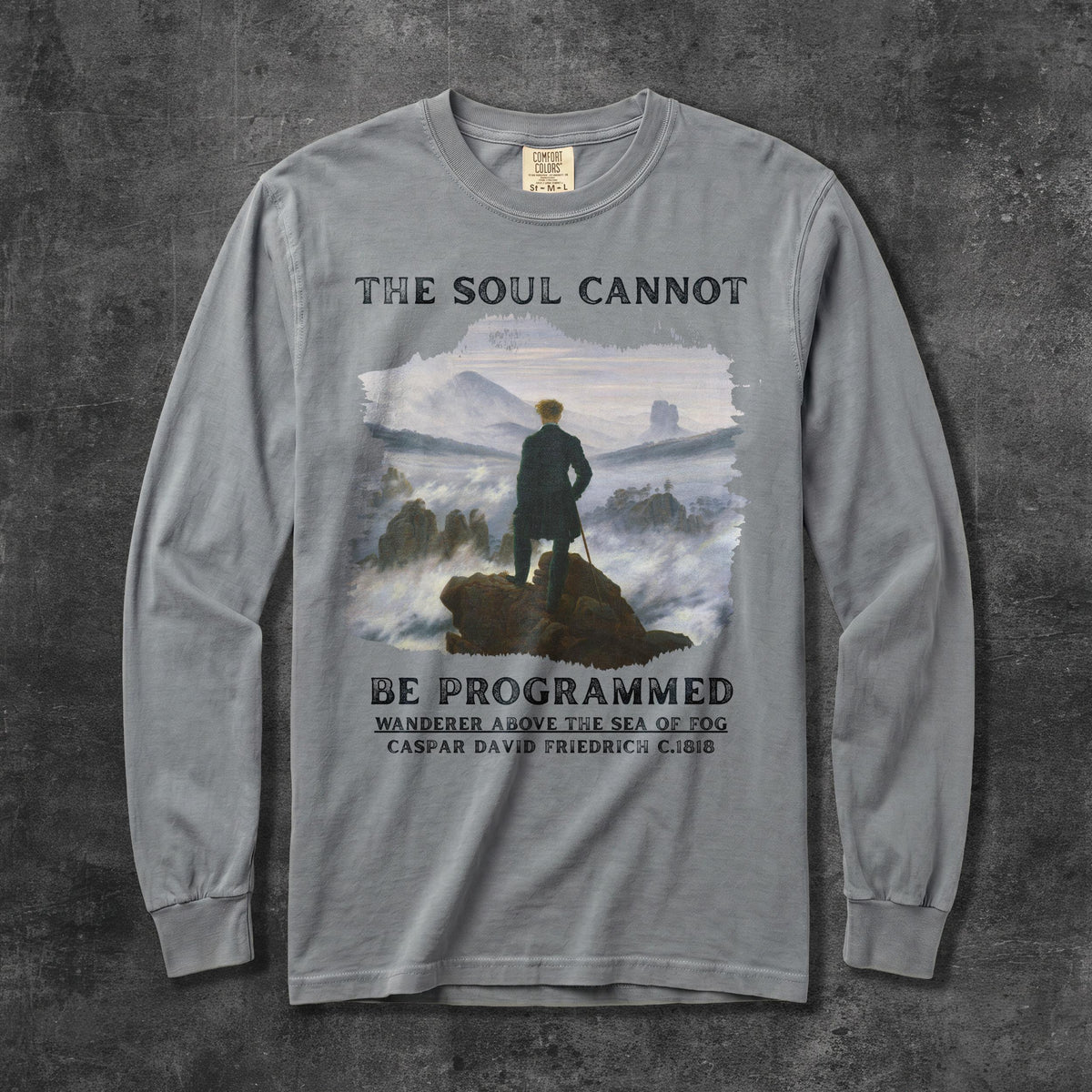 Grey long-sleeve t-shirt with &amp;quot;The Soul Cannot Be Programmed&amp;quot; and artwork.