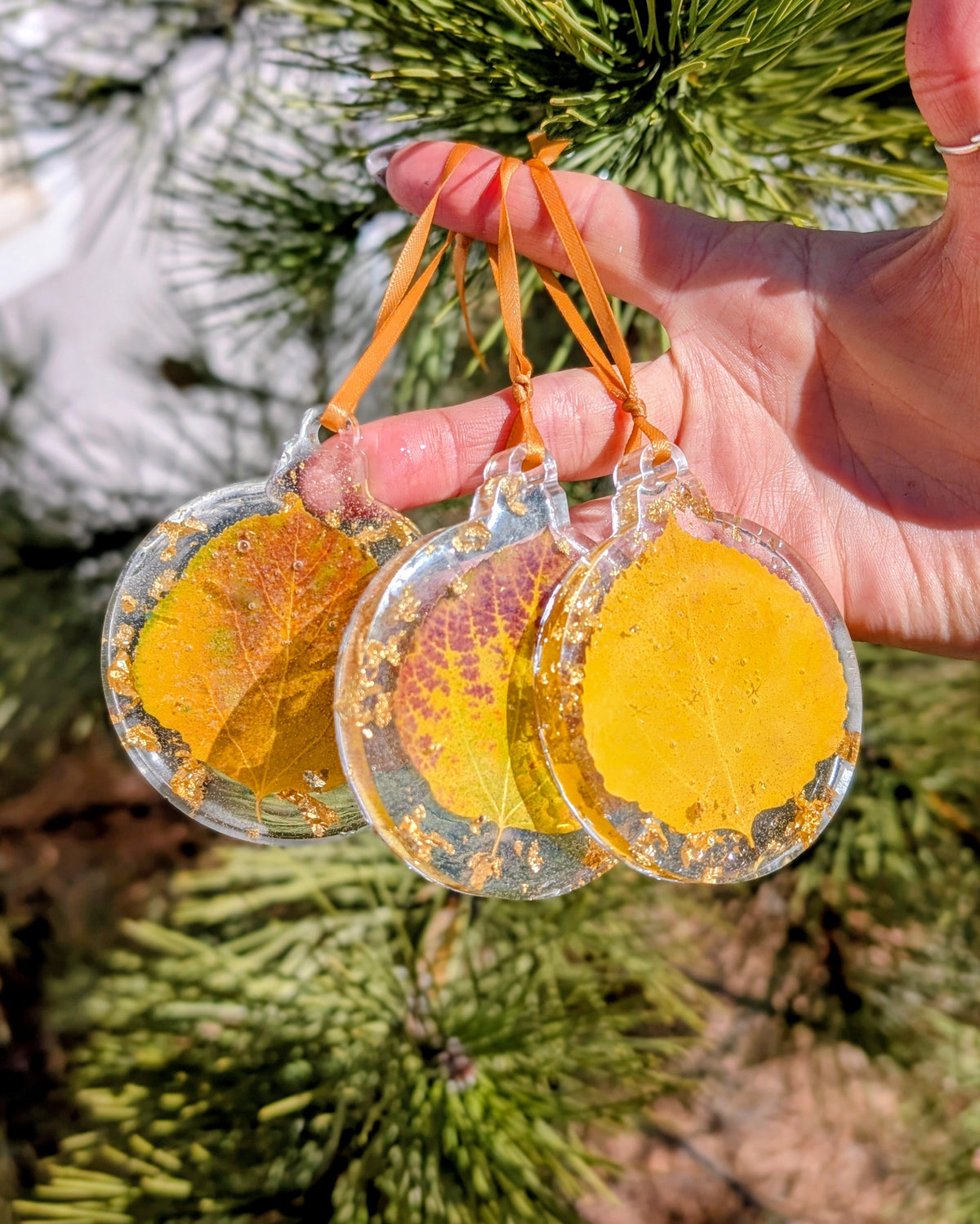 Real Aspen Leaf Ornament
