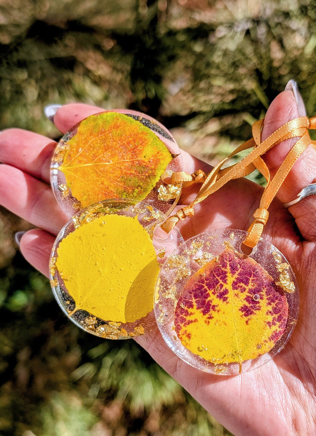 Real Aspen Leaf Ornament
