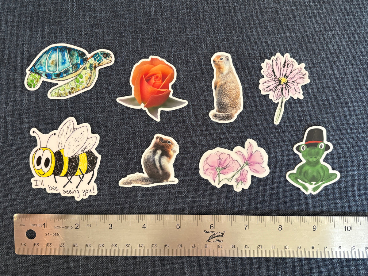 Various Stickers of Nature and Catch Phrases