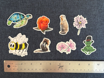 Various Stickers of Nature and Catch Phrases