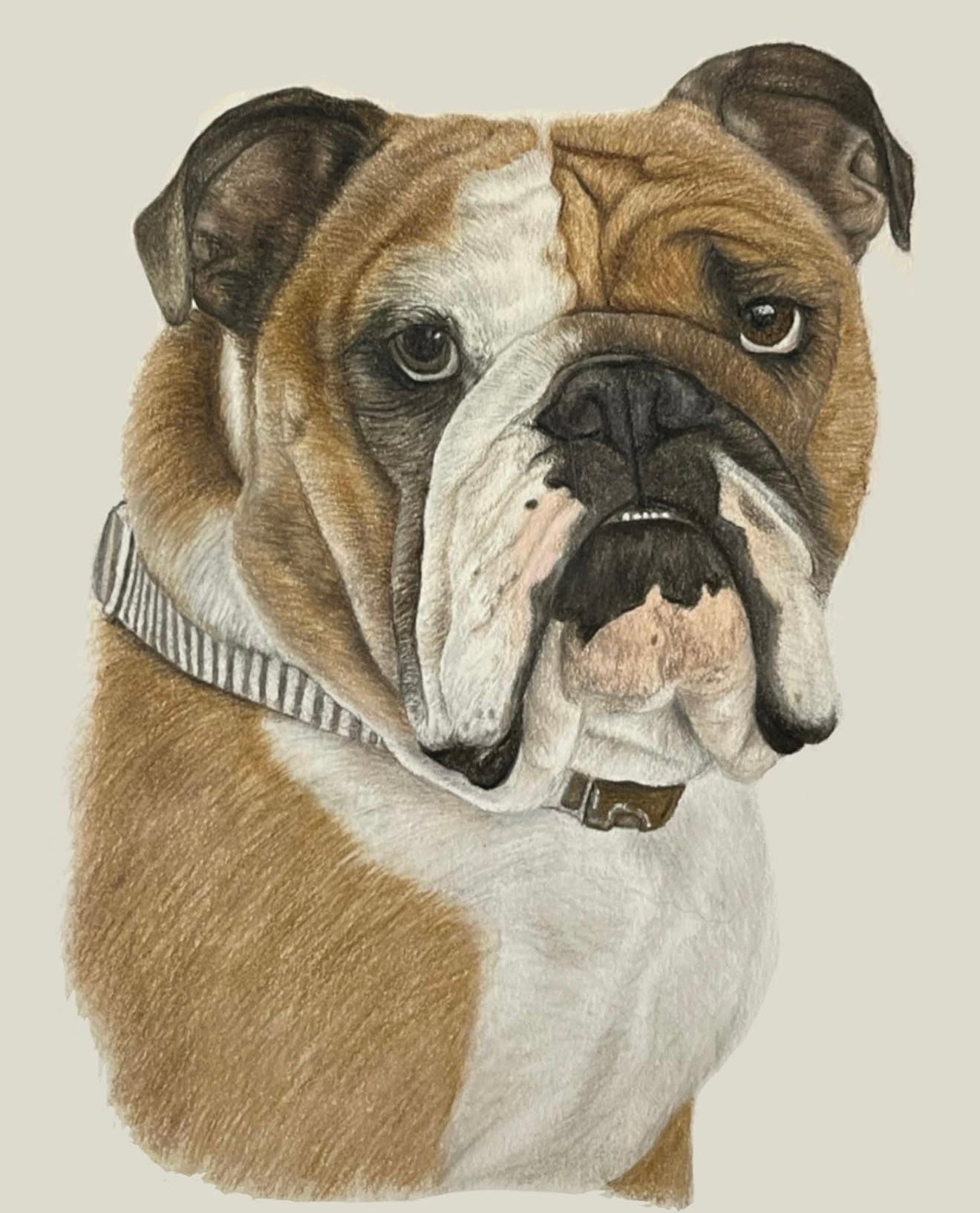 Custom Pet Portrait 8x10