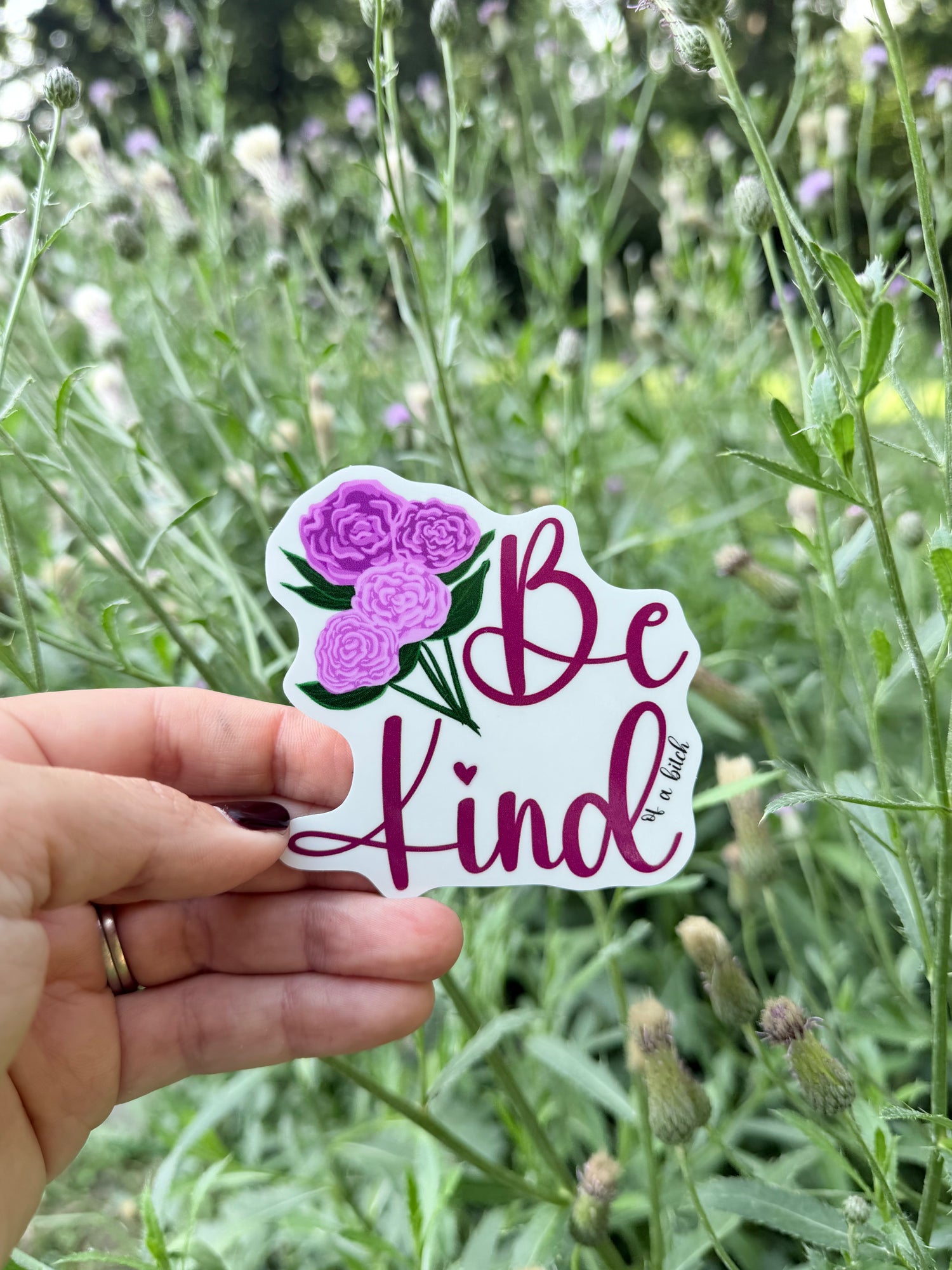 Be Kind (of a bitch) Sticker