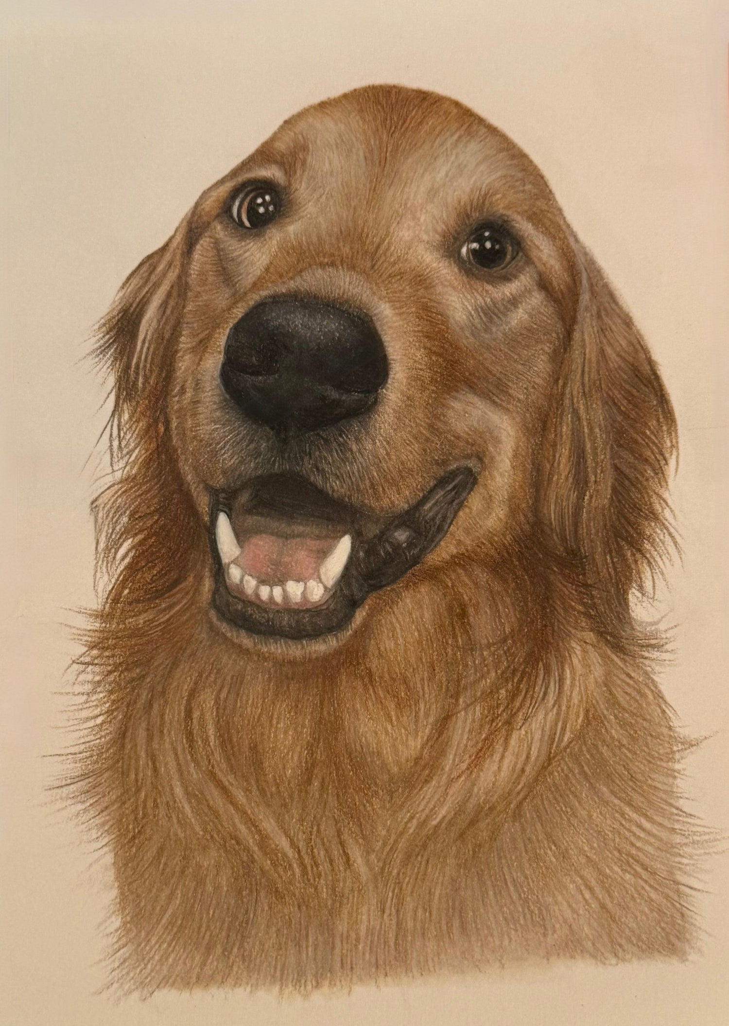 Custom Pet Portrait 11x14