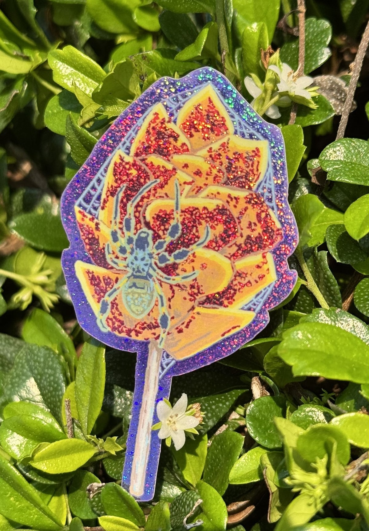 Mango Banana Spider Sticker