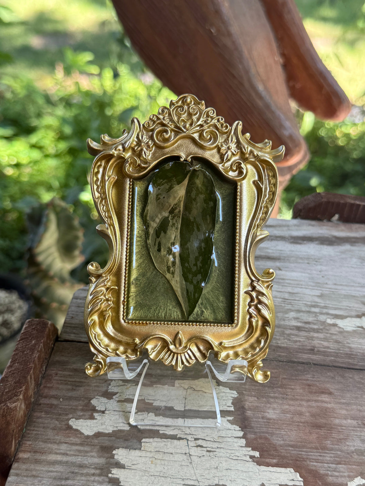 Framed S. Blue Albo
