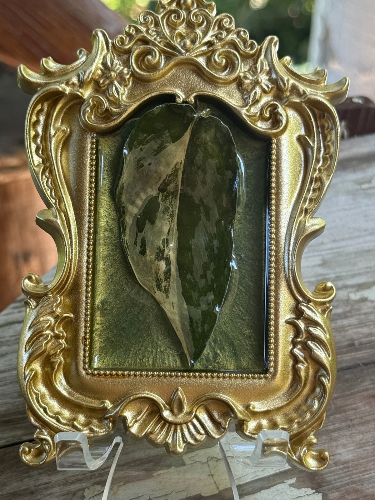 Framed S. Blue Albo