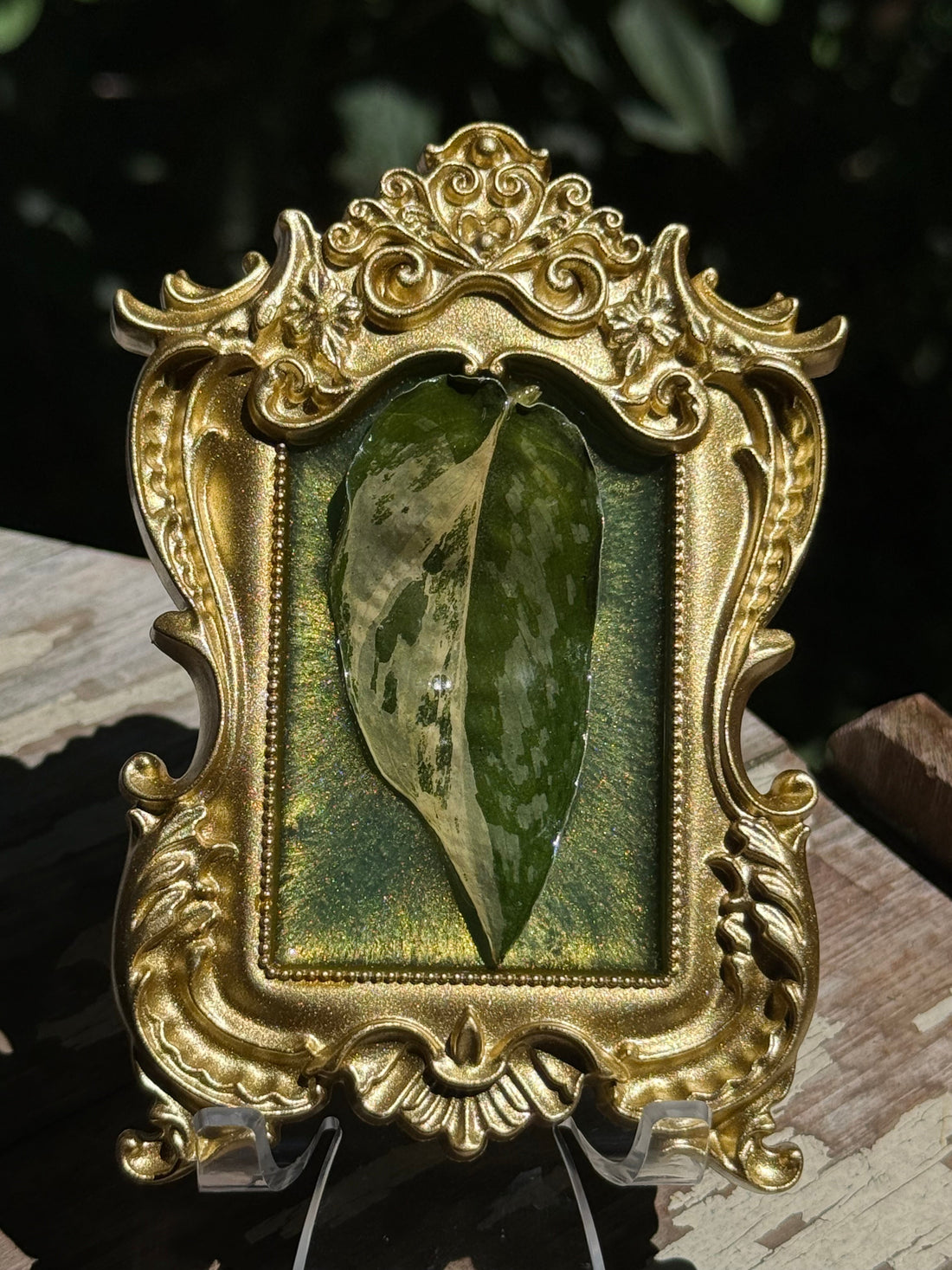 Framed S. Blue Albo