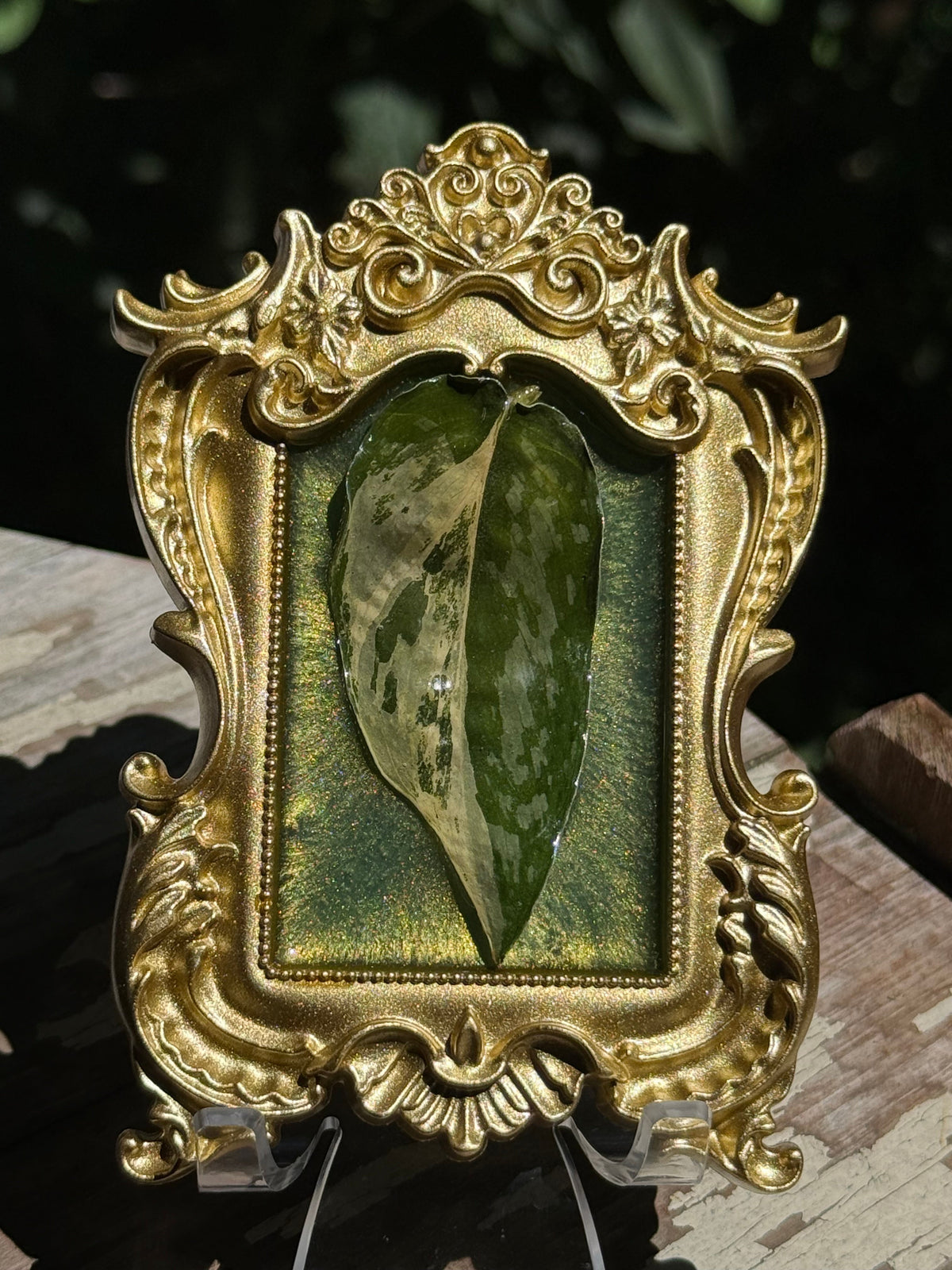 Framed S. Blue Albo