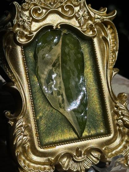 Framed S. Blue Albo