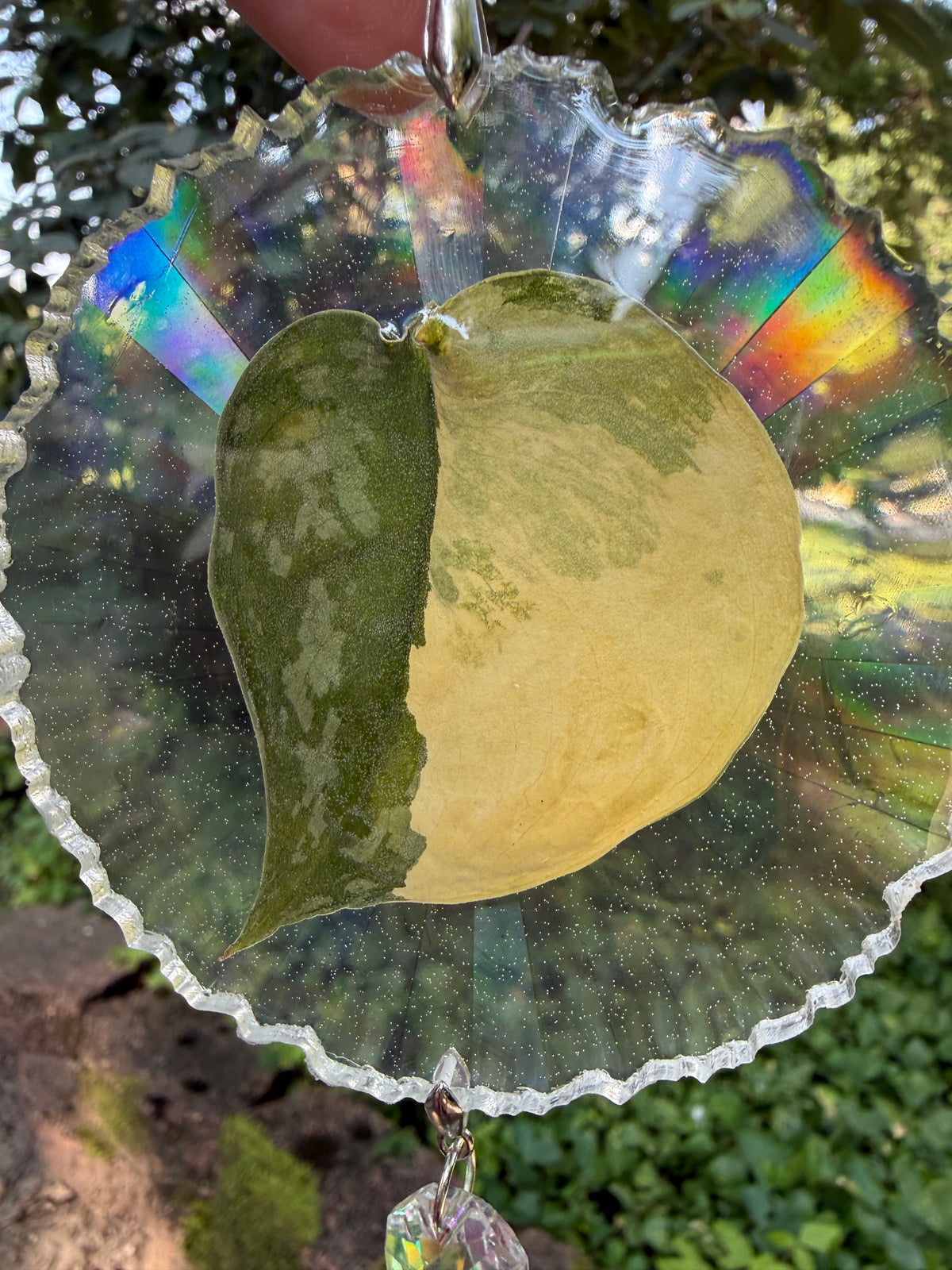 Leaf Suncatcher - Holo S. Swarnabhumi