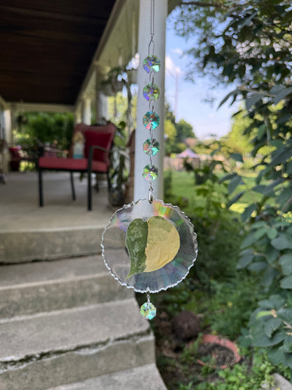 Leaf Suncatcher - Holo S. Swarnabhumi