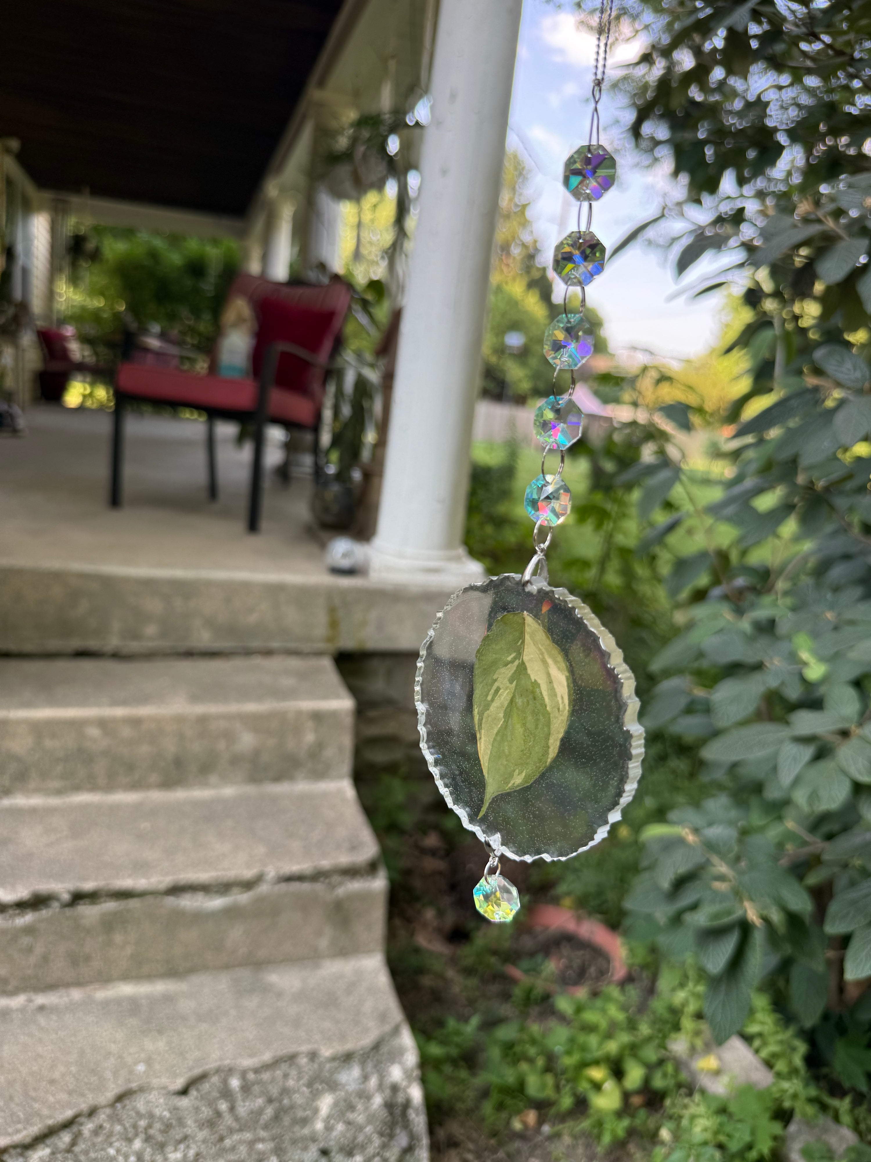 Leaf Suncatcher - Holo S. Exotica Albo