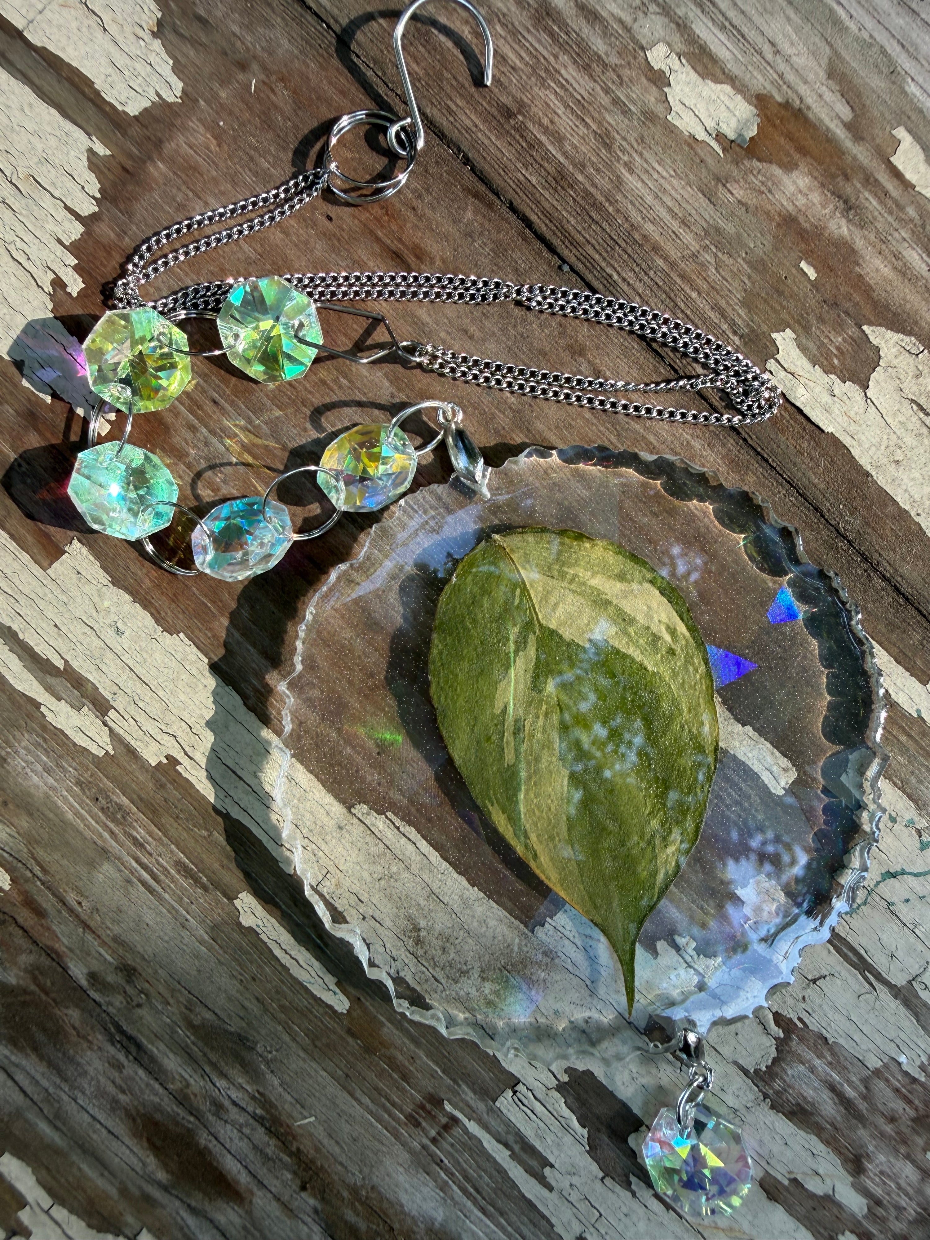 Leaf Suncatcher - Holo S. Exotica Albo