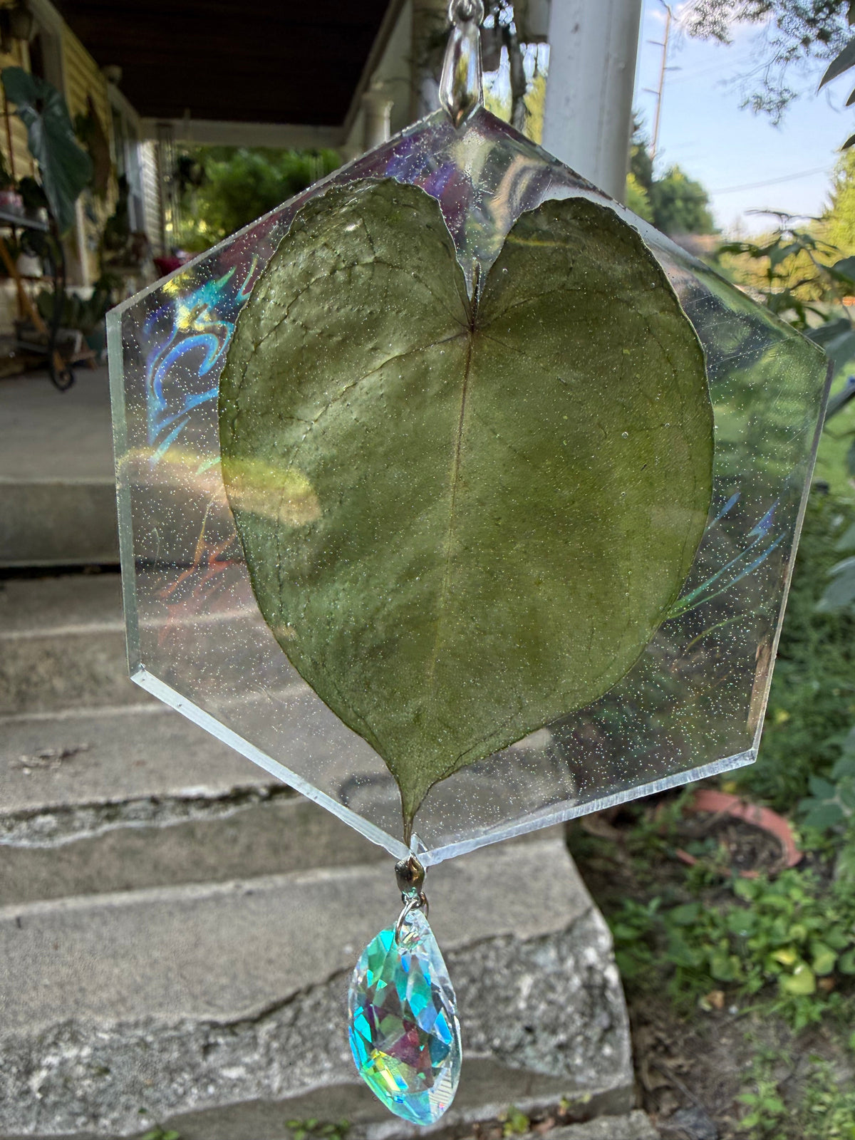 Leaf Suncatcher - Holo A. Yellow Spider x Dressleri