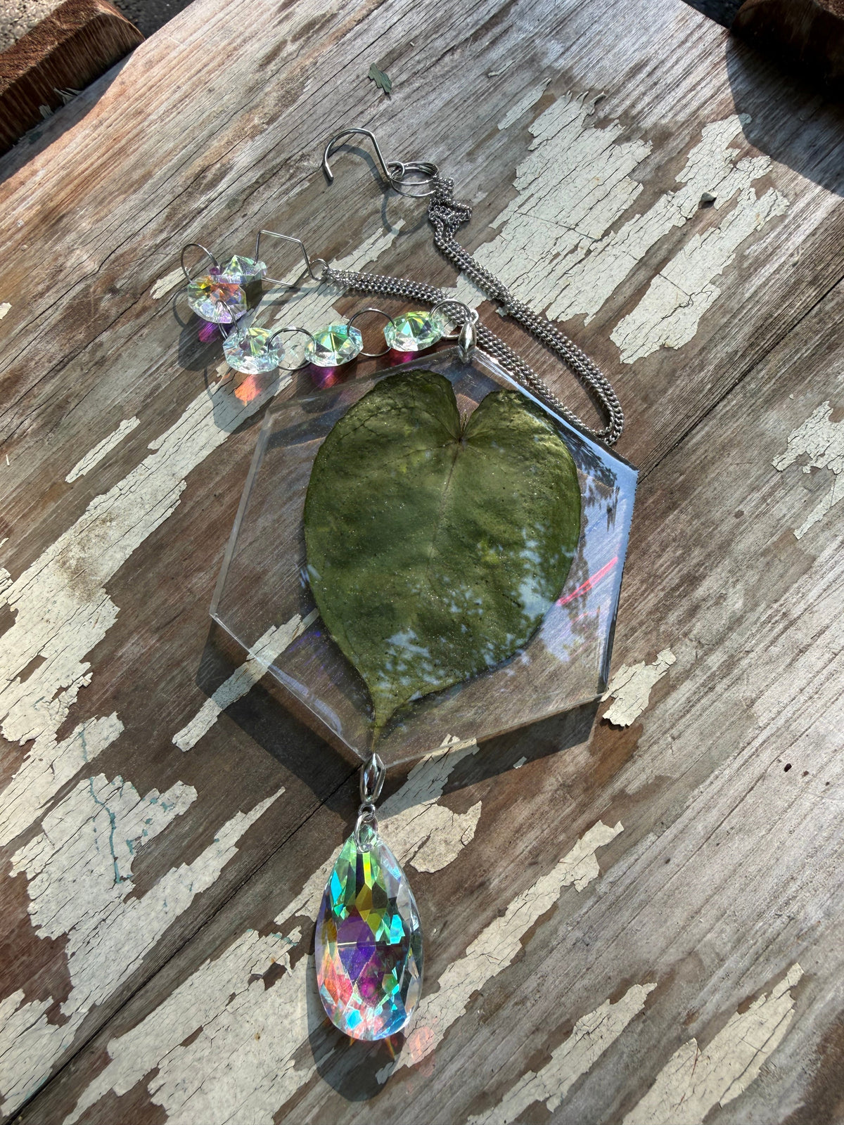 Leaf Suncatcher - Holo A. Yellow Spider x Dressleri